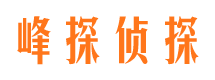 广东市侦探公司